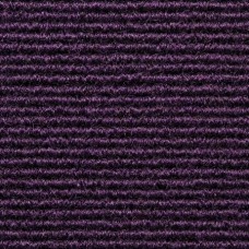 Broadrib Purple (Commercial) 